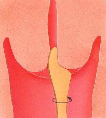 PAP Smear Testi